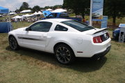 Mustang